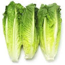 ROMAINE LETTUCE (3 HEADS) - Emmas Premium Services