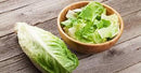 ROMAINE LETTUCE (3 HEADS) - Emmas Premium Services