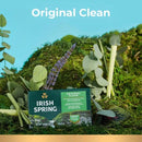 IRISH SPRING BAR SOAP