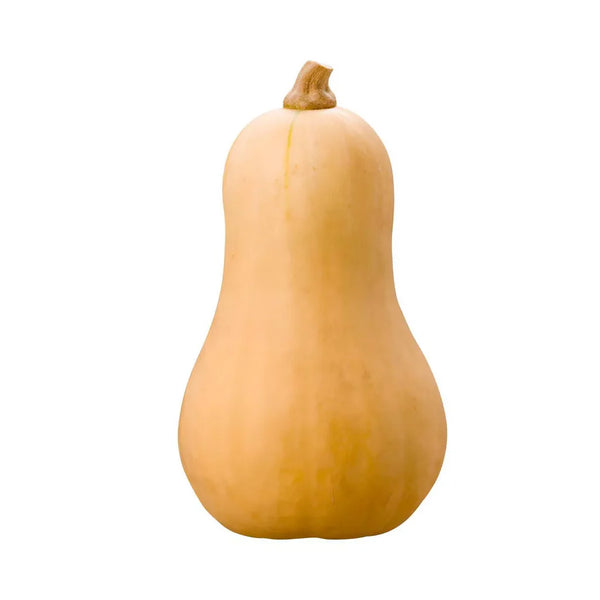 BUTTERNUT SQUASH (1 PER ORDER)