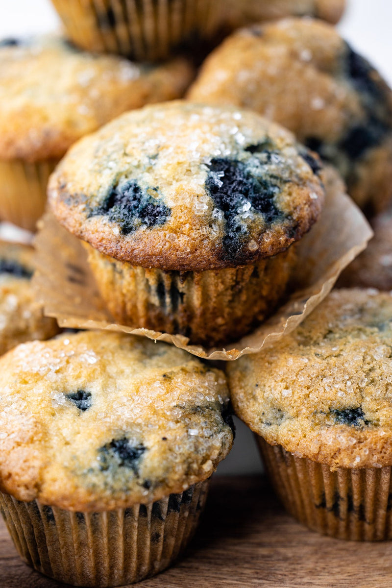 DAISY BLUEBERRY MUFFIN