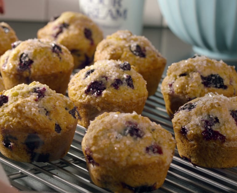 DAISY BLUEBERRY MUFFIN