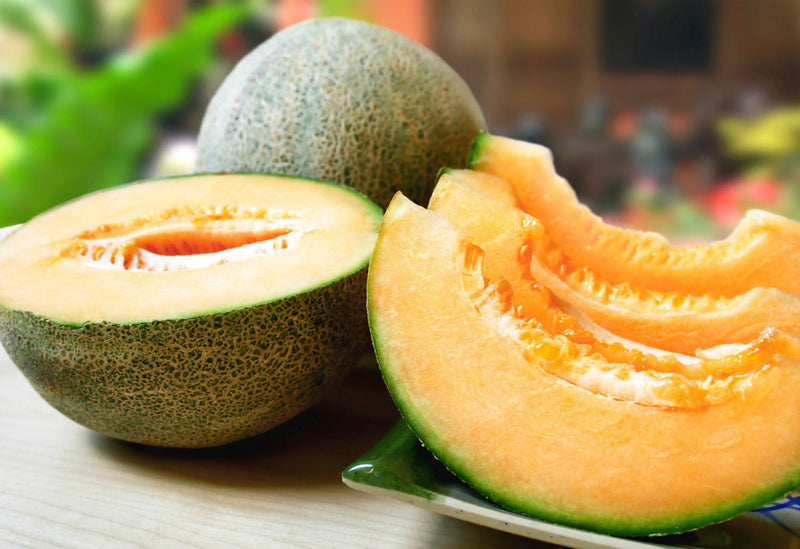 CANTALOUPE