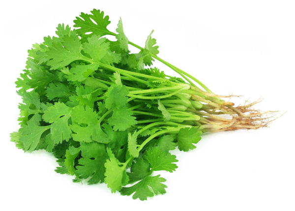 CILANTRO (1 BUNCH) - Emmas Premium Services