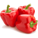 SOFRITO BUNDLE