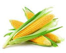 WHOLE CORN (3 Per Order) - Emmas Premium Services